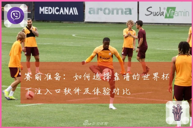 赛前准备：如何选择靠谱的世界杯下注入口软件及体验对比